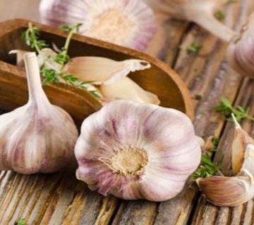 مصرف سیر و پیاز بعد از کاشت مو