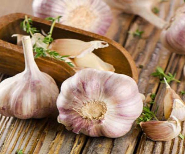 مصرف سیر و پیاز بعد از کاشت مو